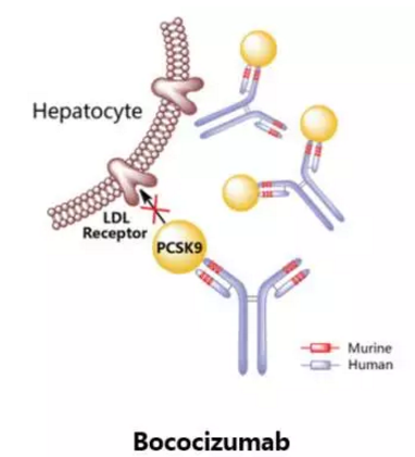 首页-人生就是博中国官方网站