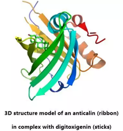 首页-人生就是博中国官方网站