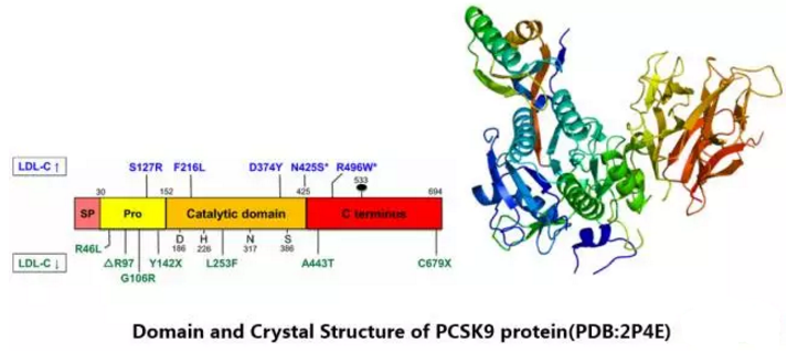 首页-人生就是博中国官方网站