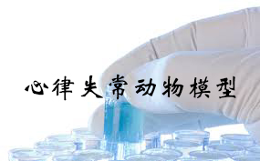 心律失常动物模子的建设