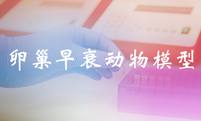 卵巢早衰动物模子