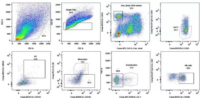 首页-人生就是博中国官方网站
