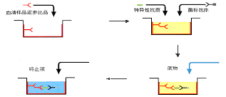 首页-人生就是博中国官方网站