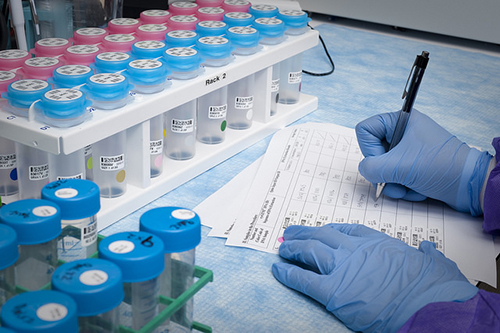 大浪淘沙快者胜！！已完成BE大品种谁主战场