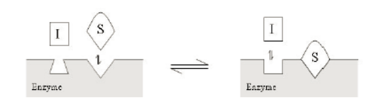 uncompetitive不竞争性抑制剂