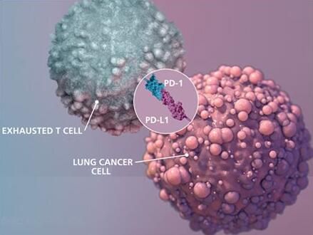 首页-人生就是博中国官方网站