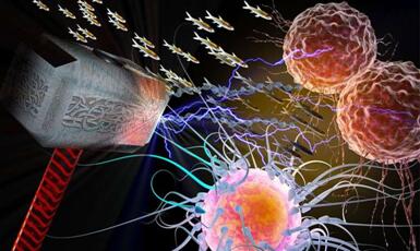 首页-人生就是博中国官方网站