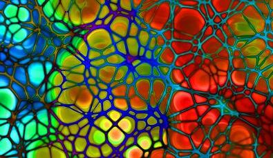 首页-人生就是博中国官方网站