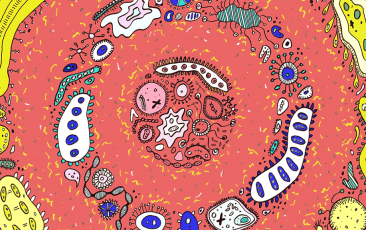 首页-人生就是博中国官方网站