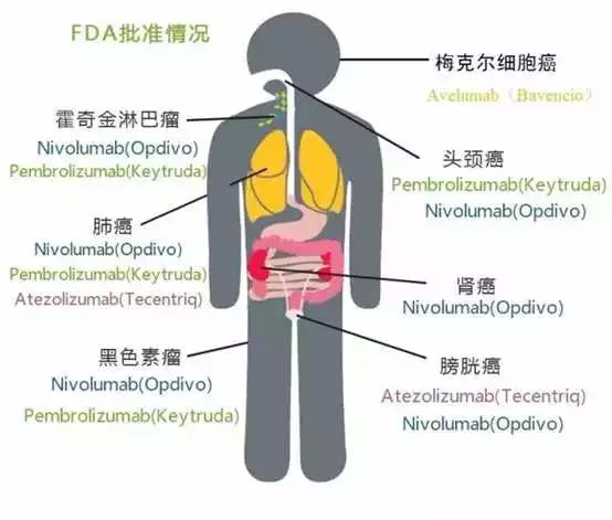 首页-人生就是博中国官方网站