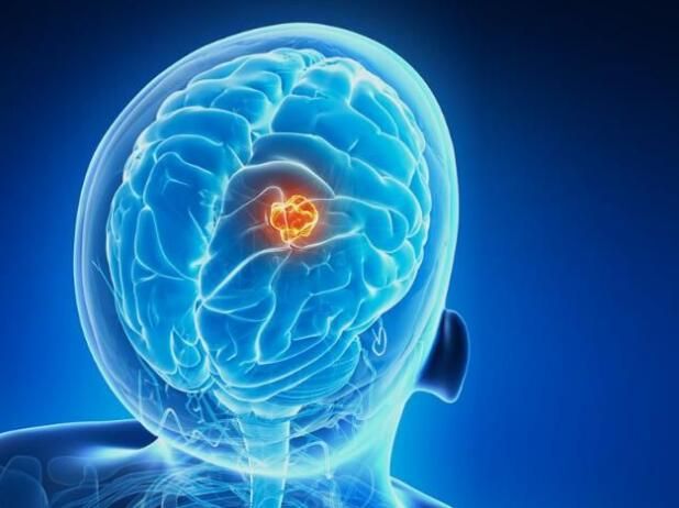 首页-人生就是博中国官方网站