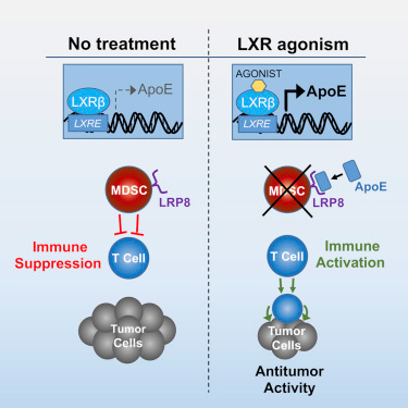 首页-人生就是博中国官方网站