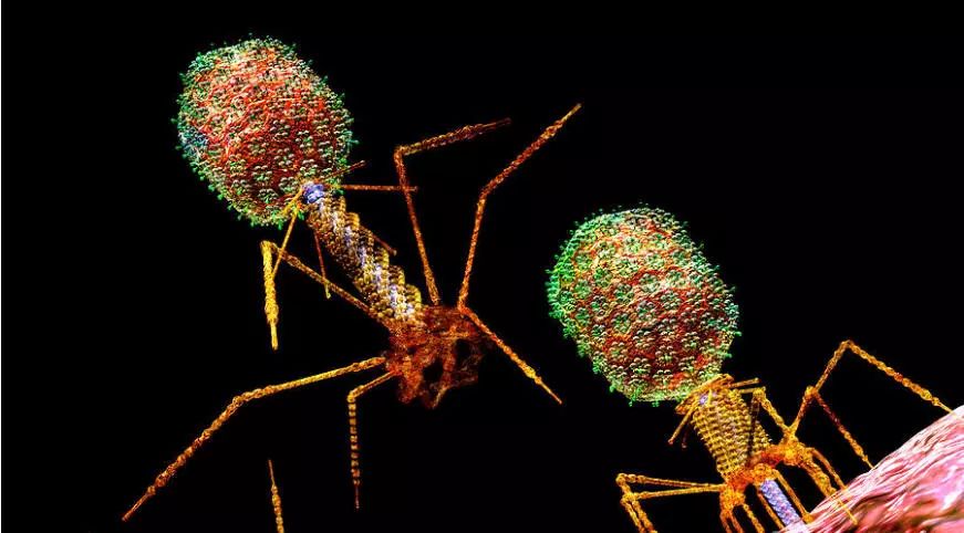 首页-人生就是博中国官方网站