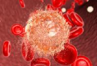 首页-人生就是博中国官方网站