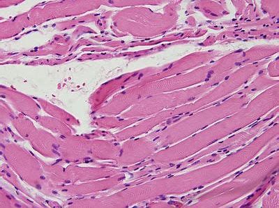 首页-人生就是博中国官方网站