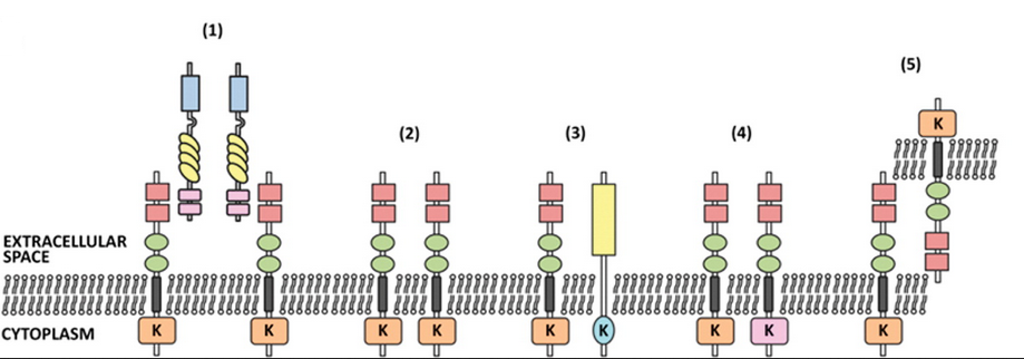 首页-人生就是博中国官方网站