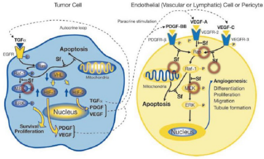 首页-人生就是博中国官方网站