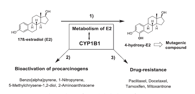 首页-人生就是博中国官方网站