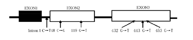 首页-人生就是博中国官方网站