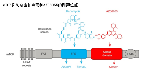 首页-人生就是博中国官方网站