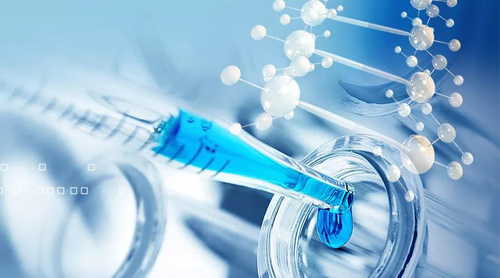 肿瘤免疫治疗的进化！！！二代PD-1抗体即将出生