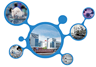 科创板首家CRO企业人生就是博官方网站获准注册