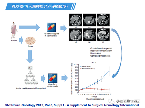 人生就是博官方网站PDX模子