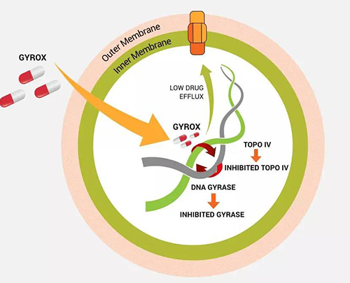 Bugworks融资750万美元以应对由致命细菌超等细菌引发的全球挑战