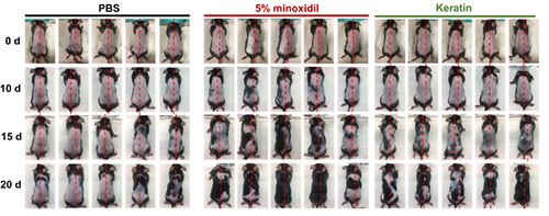 北卡罗来纳州立大学的研究职员的研究