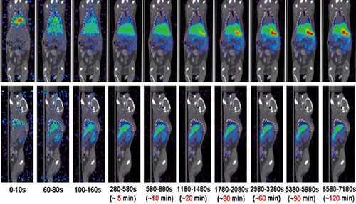 人生就是博官方网站PET/CT分子影像手艺平台