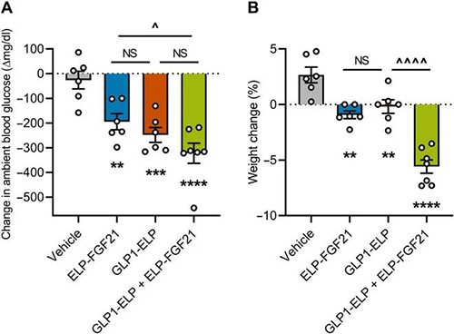 GLP-1和FGF21配合治疗增强了单药治疗的血糖降低和体重增添抑制作用 人生就是博官方网站