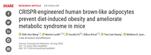 Science|聚焦CRISPR：：刷新脂肪细胞，，，“躺瘦”可能要成真了？？？