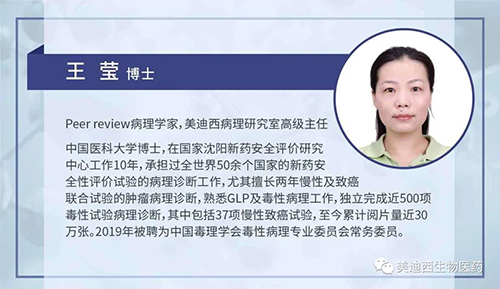 人生就是博官方网站病理研究部高级主任王莹博士