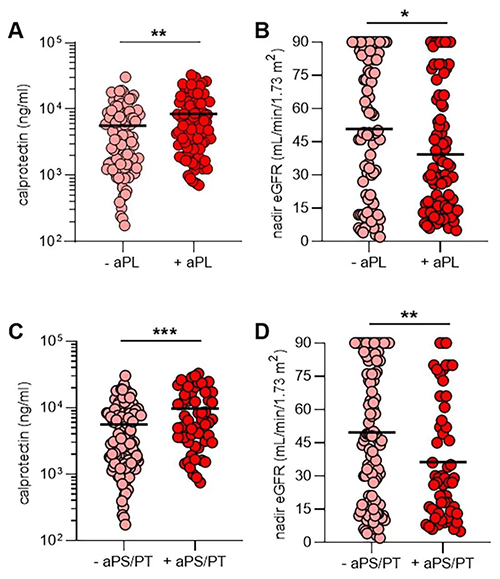 aPL抗体、、NET释放和肾功效