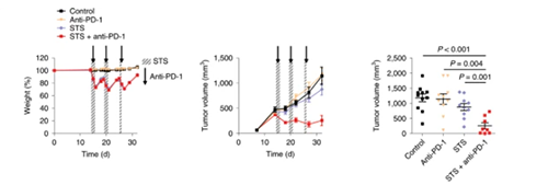 与比照组及仅使用PD-1疗法的模子小鼠比照，，接纳短期饥饿配合PD-1疗法的393P细胞同源移植肿瘤小鼠体内的肿瘤体积有了显着的缩短。。