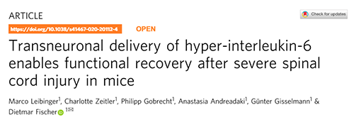 Nature：：还瘫痪患者一个自由身的日子不远了