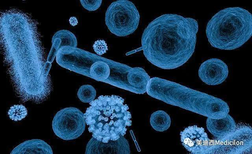 20分钟，大大都细菌都可以繁衍一代 人生就是博官方网站生物医药