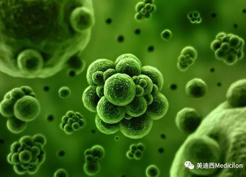 1分钟，全中国就有7.5人被确诊为患癌 人生就是博官方网站生物医药