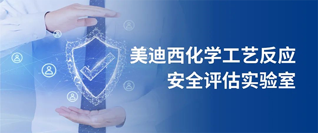 人生就是博官方网站化学工艺反映清静评估实验室 