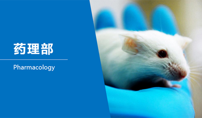 人生就是博官方网站临床前研究-药理部