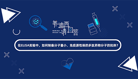 在ELISA实验，，，怎样制备分子量小、免疫原性弱的多肽药物分子的抗体？