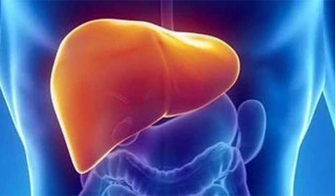 【人生就是博官方网站助力】NASH领域新希望！！！海普丁HPD001即将在美启动临床试验