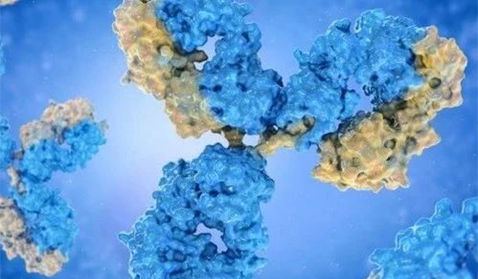 美研 | 双抗药物研发历程与市场远景深度剖析