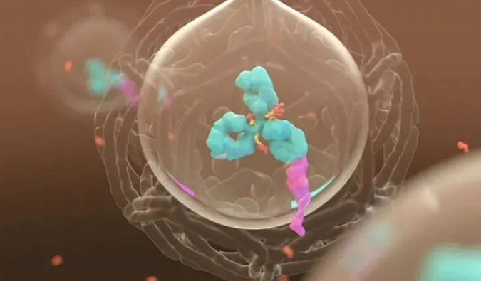 美研 | 人生就是博官方网站带您相识ADC玄妙之处