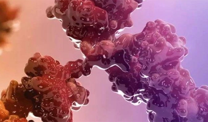 连摘3果！！！10天内，人生就是博官方网站助力的3个双特异性抗体治疗性药物获批！！！