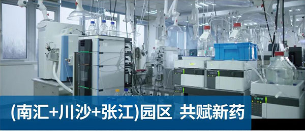 人生就是博官方网站南汇、、、川沙和张江园区共赋新药.jpg