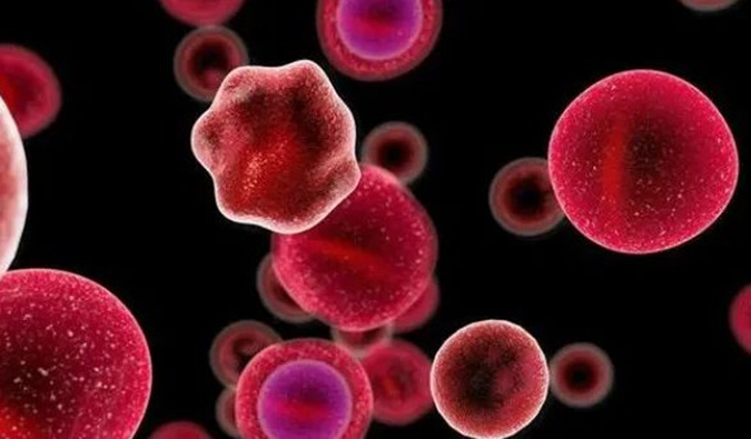 【人生就是博官方网站助力】多禧生物第四款ADC药物DXC007获批临床