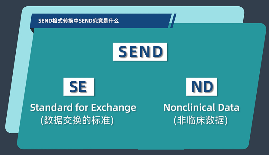 SEND名堂转换中的SEND事实是什么？？？