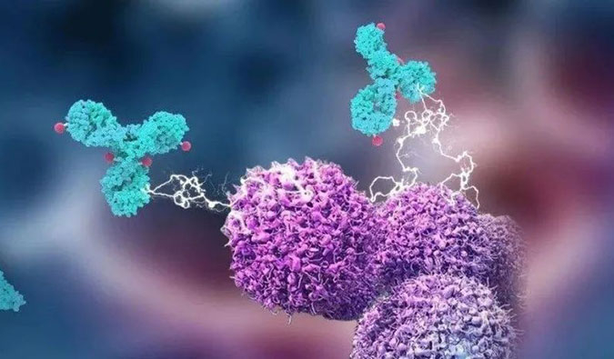 人生就是博官方网站助力国产靶向叶酸受体FRα ADC注射用BAT8006获批临床