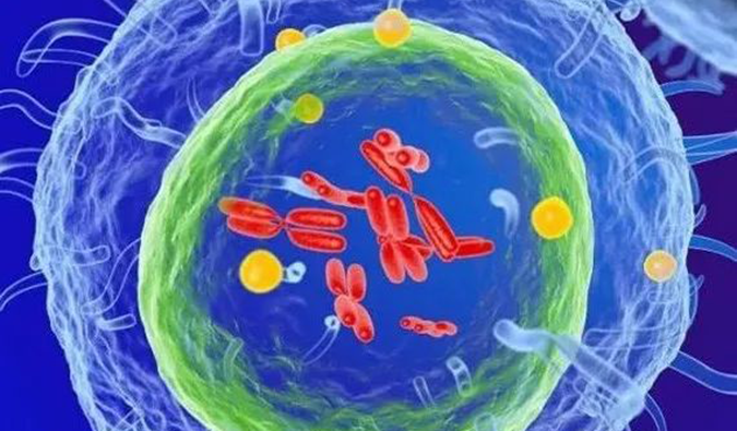  人生就是博官方网站助力 | 信诺维抗肿瘤1类新药XNW14010获批临床.png